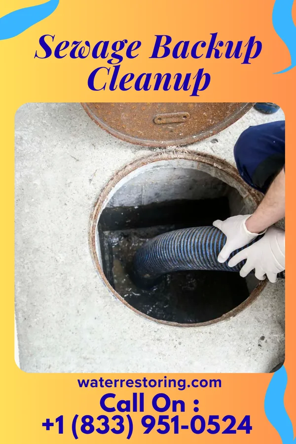 Sewage Backup Cleanup in Daphne, AL